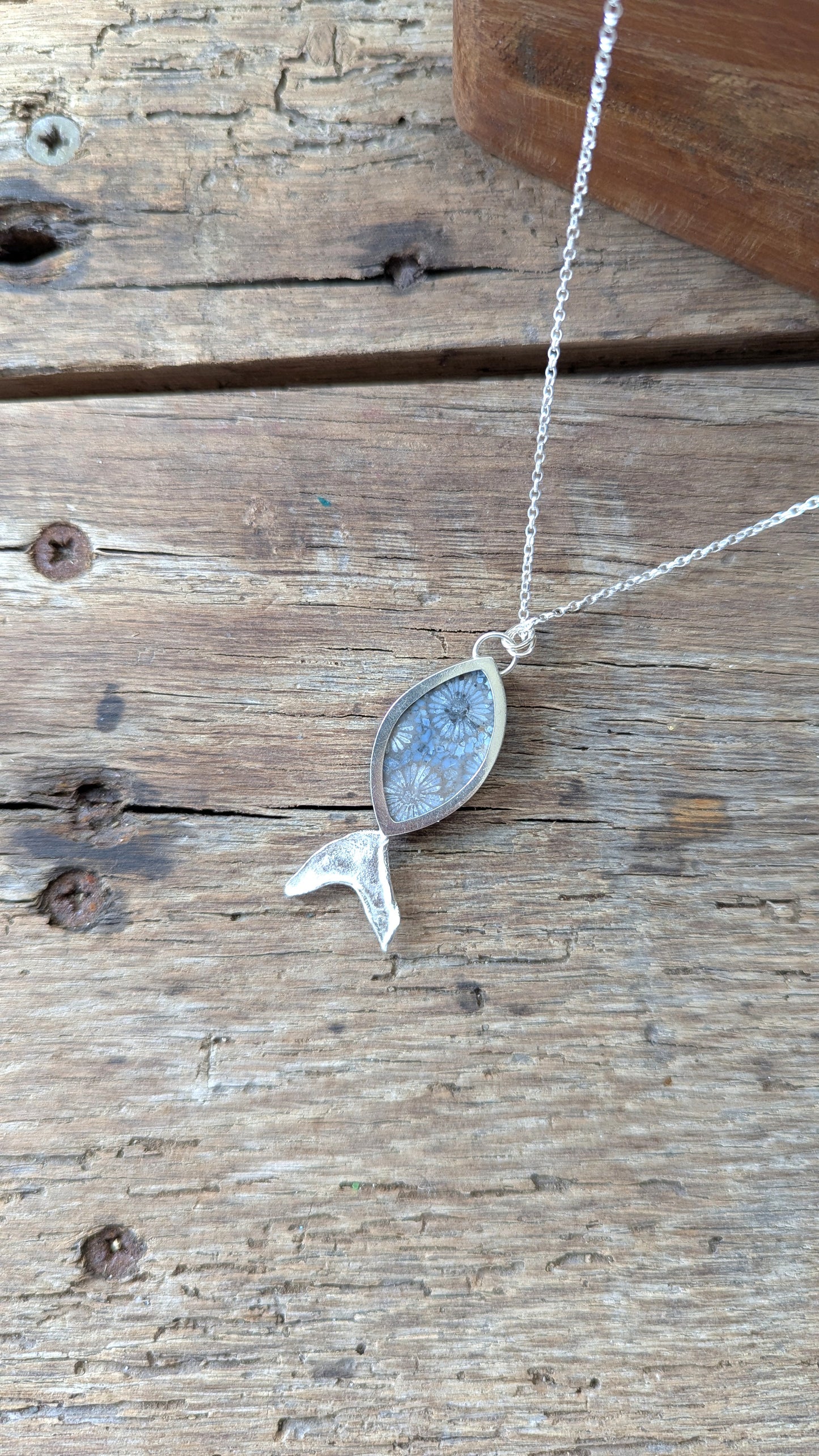Smoky Blue Fossilised Coral Fish
