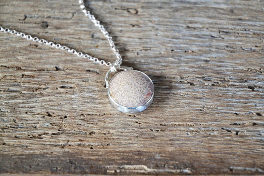 Fossilised Coral Necklace