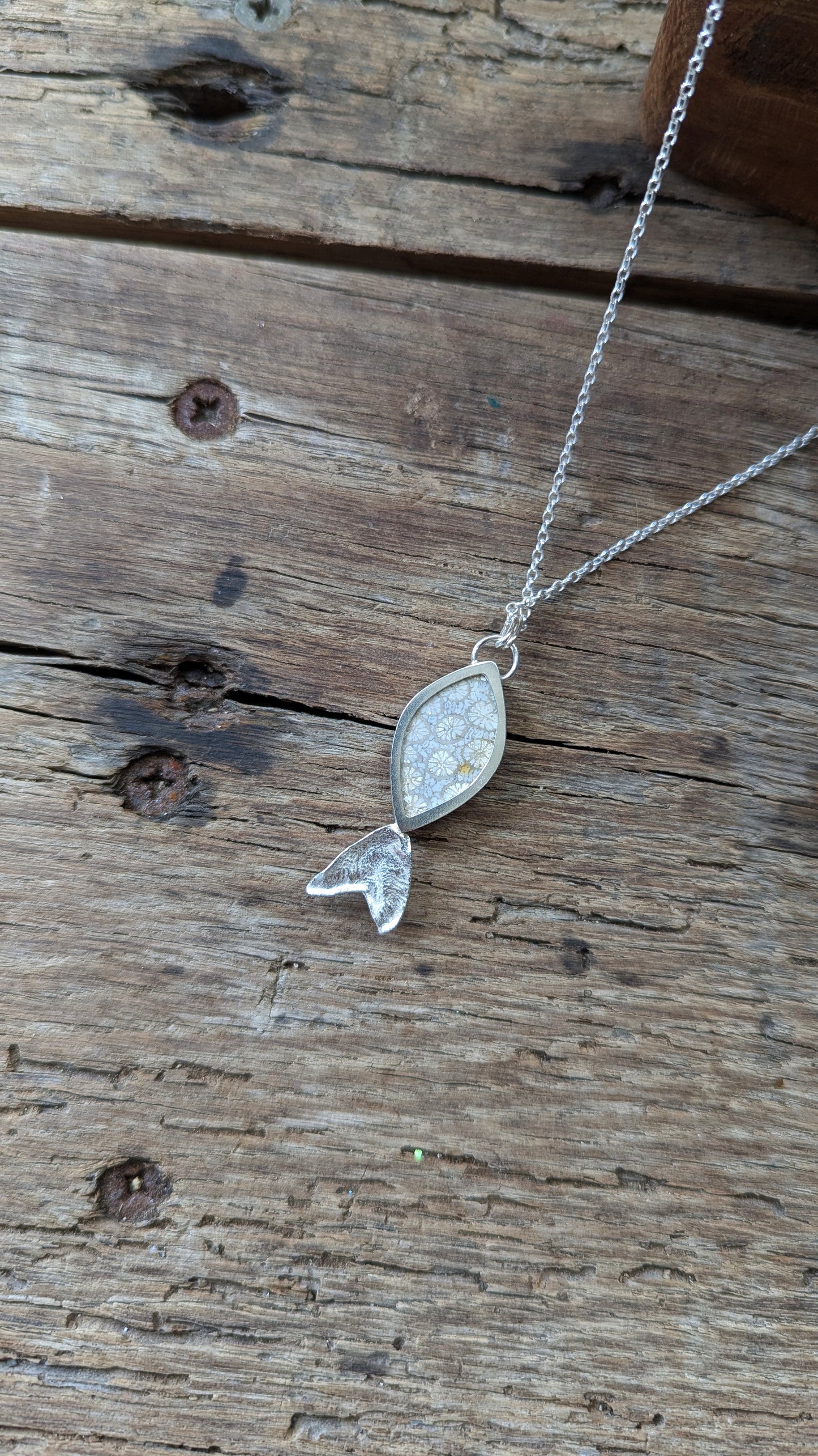 Fossilised Coral Fish