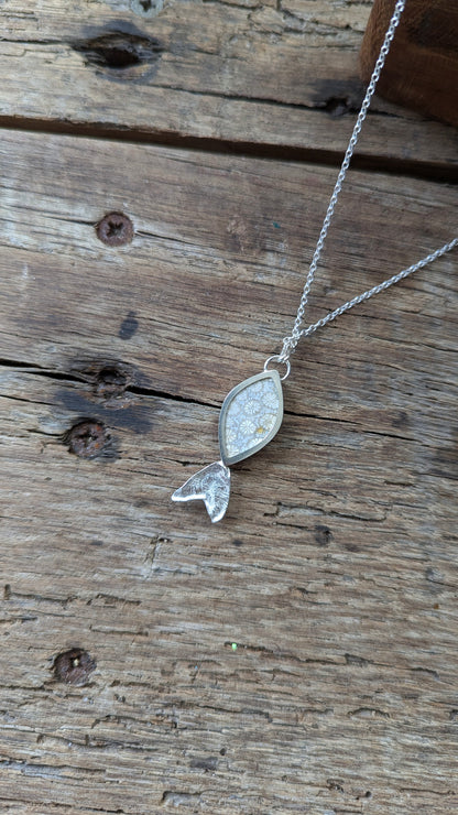 Fossilised Coral Fish