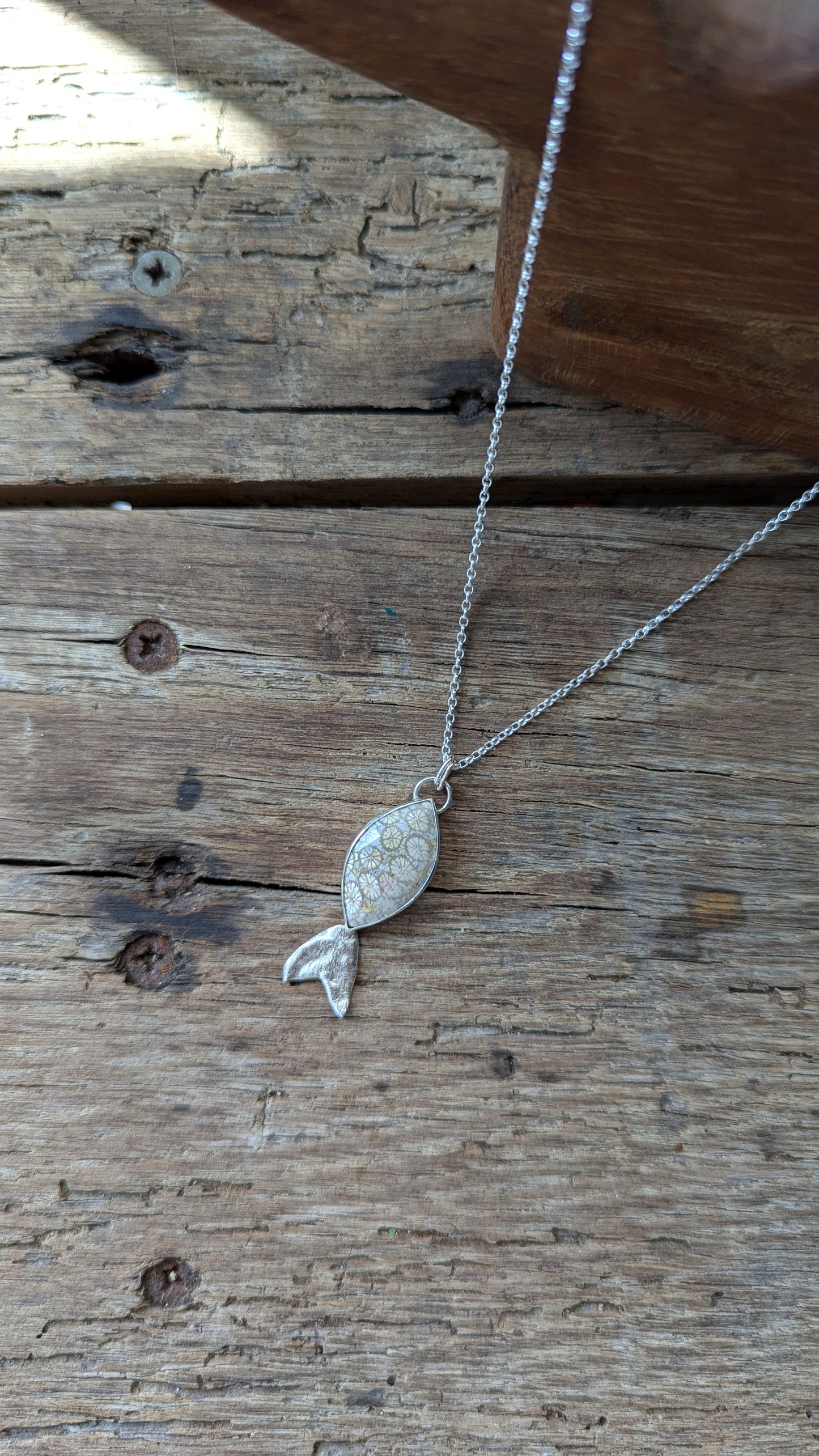 Fossilised Coral Fish