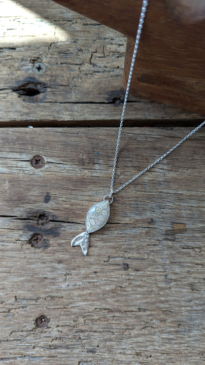 Fossilised Coral Fish