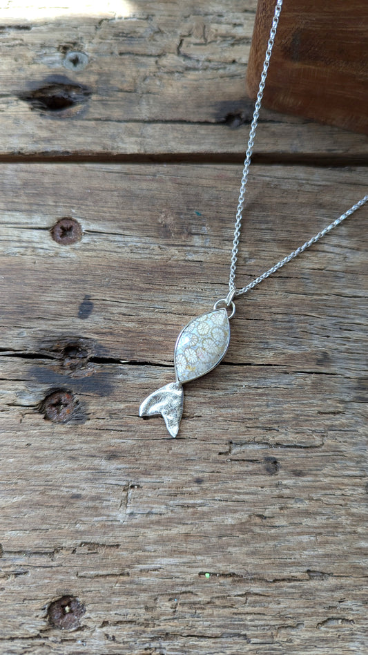 Fossilised Coral Fish