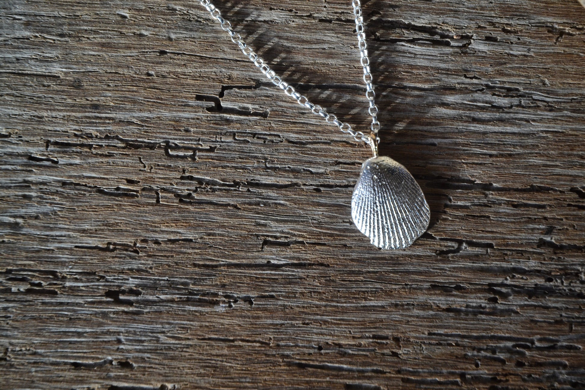 a silver shell pendant necklace