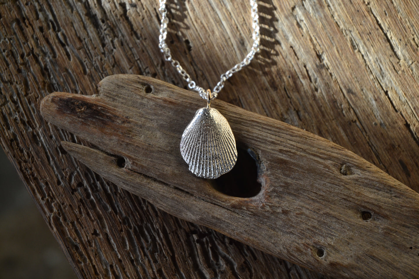 Cockle Shell Necklace