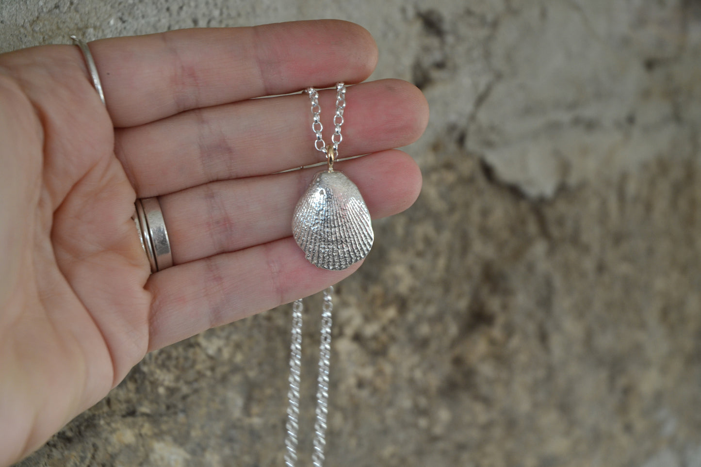 a silver seashell pendant with a gold bail is hung from a silver chain and held up in a hand