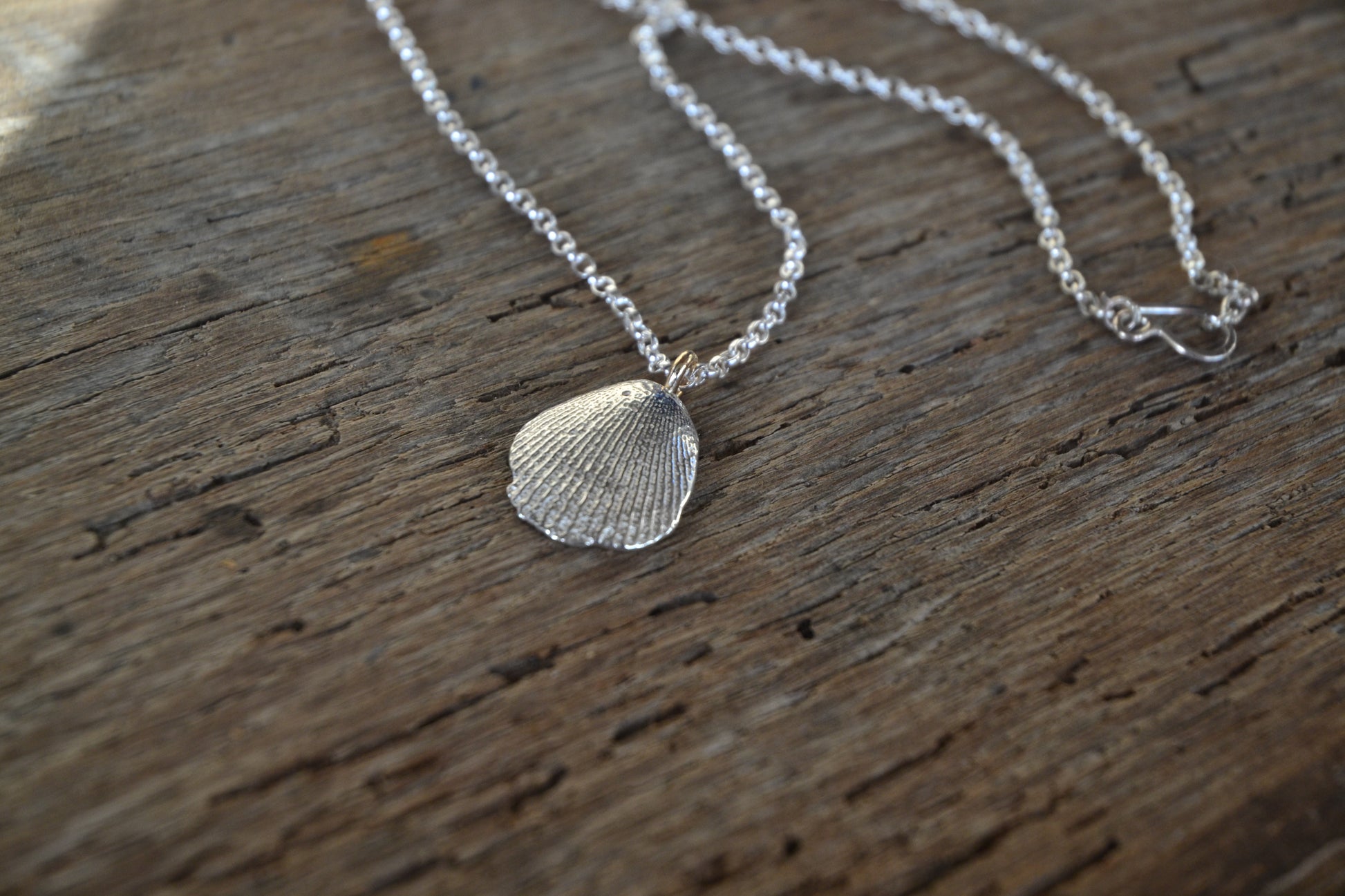 silver cockle shell pendant necklace on a rustic wooden surface