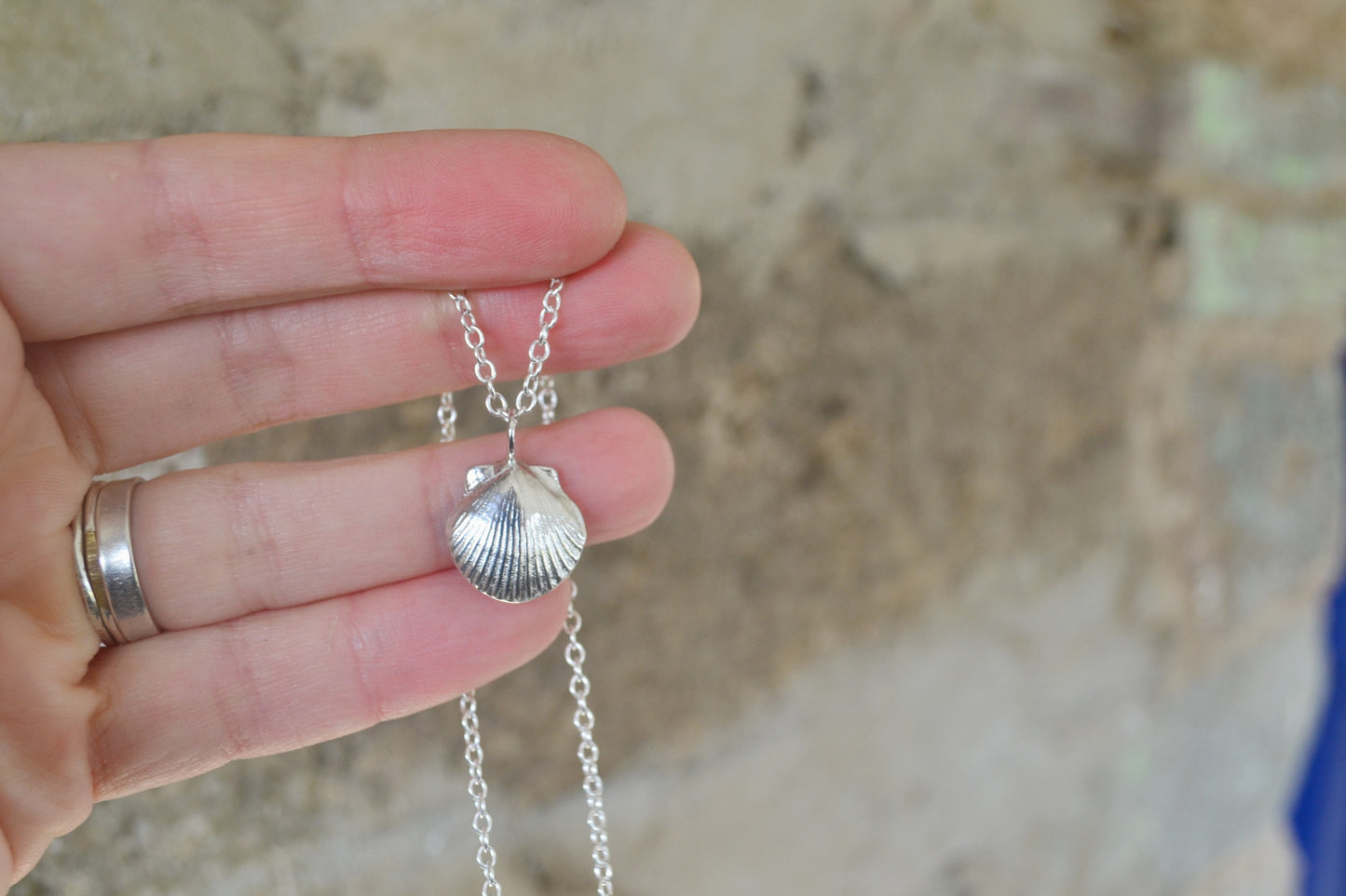 Silver Scallop Shell Necklace